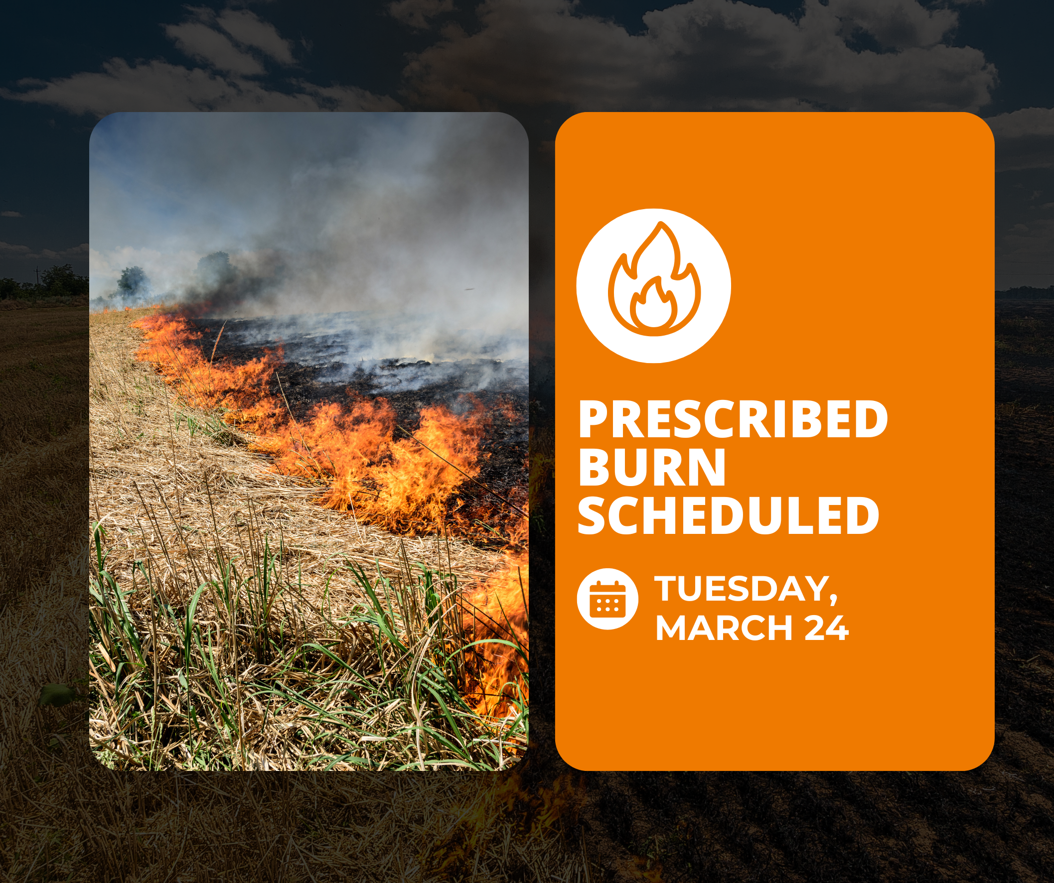 3.23.2026 Burn Notice